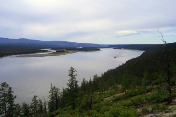 Кракен даркнет текст